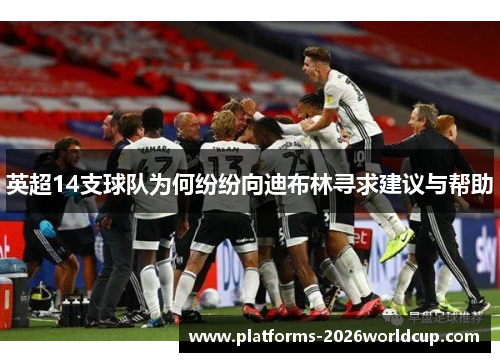 英超14支球队为何纷纷向迪布林寻求建议与帮助
